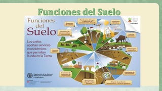 El suelo