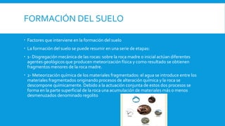 FORMACIÓN DEL SUELO
 Factores que interviene en la formación del suelo
 La formación del suelo se puede resumir en una serie de etapas:
 1- Disgregación mecánica de las rocas: sobre la roca madre o inicial actúan diferentes
agentes geológicos que producen meteorización física y como resultado se obtienen
fragmentos menores de la roca madre.
 2- Meteorización química de los materiales fragmentados: el agua se introduce entre los
materiales fragmentados originando procesos de alteración química y la roca se
descompone químicamente. Debido a la actuación conjunta de estos dos procesos se
forma en la parte superficial de la roca una acumulación de materiales más o menos
desmenuzados denominado regolito
 
