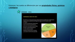 Entonces: los suelos se diferencian por sus propiedades físicas, químicas
y biológicas
.
PROPIEDADES FÍSICAS:
 