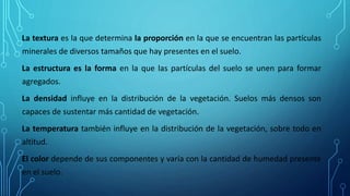 La textura es la que determina la proporción en la que se encuentran las partículas
minerales de diversos tamaños que hay presentes en el suelo.
La estructura es la forma en la que las partículas del suelo se unen para formar
agregados.
La densidad influye en la distribución de la vegetación. Suelos más densos son
capaces de sustentar más cantidad de vegetación.
La temperatura también influye en la distribución de la vegetación, sobre todo en
altitud.
El color depende de sus componentes y varía con la cantidad de humedad presente
en el suelo.
 