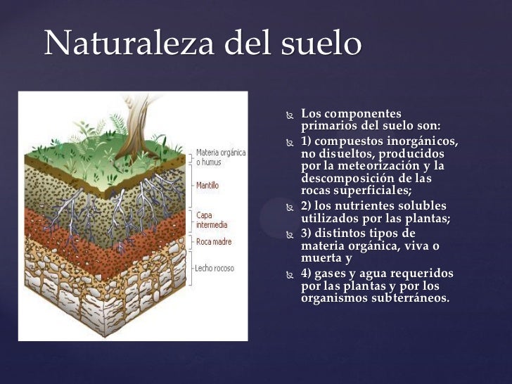 tipos de suelo