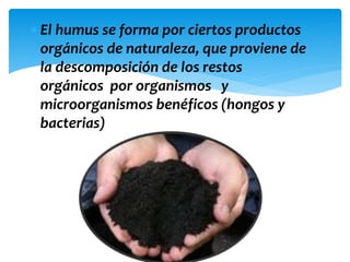  El humus se forma por ciertos productos
orgánicos de naturaleza, que proviene de
la descomposición de los restos
orgánicos por organismos y
microorganismos benéficos (hongos y
bacterias)
 