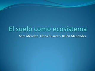 El suelo como ecosistema Sara Méndez ,Elena Suarez y Belén Menéndez 