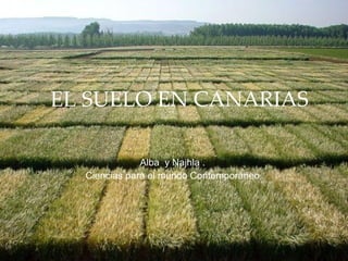 EL SUELO EN CANARIAS Alba  y Najhla . Ciencias para el mundo Contemporáneo 