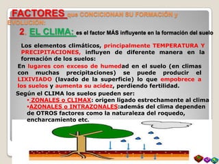 Los elementos climáticos, principalmente TEMPERATURA Y
PRECIPITACIONES, influyen de diferente manera en la
formación de los suelos:
En lugares con exceso de humedad en el suelo (en climas
con muchas precipitaciones) se puede producir el
LIXIVIADO (lavado de la superficie) lo que empobrece a
los suelos y aumenta su acidez, perdiendo fertilidad.
FACTORES que CONCICIONAN SU FORMACIÓN y
EVOLUCIÓN:
2. EL CLIMA: es el factor MÁS influyente en la formación del suelo
Según el CLIMA los suelos pueden ser:
 ZONALES o CLIMAX: origen ligado estrechamente al clima
AZONALES o INTRAZONALES:además del clima dependen
de OTROS factores como la naturaleza del roquedo,
encharcamiento etc.
 