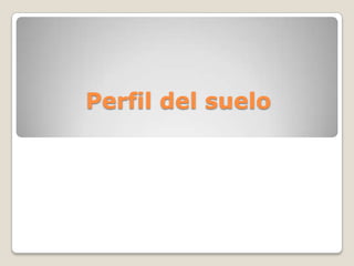 Perfil del suelo
 