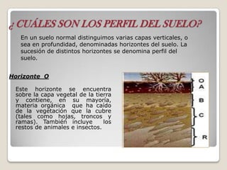¿ CUÁLES SON LOS PERFIL DEL SUELO?
Horizonte O
Este horizonte se encuentra
sobre la capa vegetal de la tierra
y contiene, en su mayoría,
materia orgánica que ha caído
de la vegetación que la cubre
(tales como hojas, troncos y
ramas). También incluye los
restos de animales e insectos.
En un suelo normal distinguimos varias capas verticales, o
sea en profundidad, denominadas horizontes del suelo. La
sucesión de distintos horizontes se denomina perfil del
suelo.
 