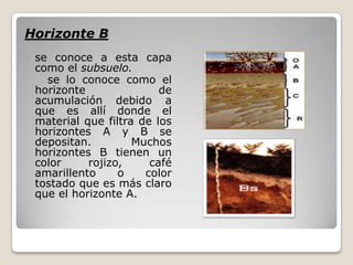 Horizonte B
se conoce a esta capa
como el subsuelo.
se lo conoce como el
horizonte de
acumulación debido a
que es allí donde el
material que filtra de los
horizontes A y B se
depositan. Muchos
horizontes B tienen un
color rojizo, café
amarillento o color
tostado que es más claro
que el horizonte A.
 
