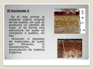 El horizonte C
Es el más similar al
material matriz original
de los suelos, sin que se
produzca un cambio de
color, ni se forme una
estructura (el suelo es
compacto o suelto), no
hay
remoción ni depósito
de materiales de suelo
por filtración, ni
revestimiento, ni
acumulación de materia
orgánica.
 