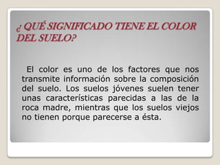 ¿ QUÉ SIGNIFICADO TIENE EL COLOR
DEL SUELO?
El color es uno de los factores que nos
transmite información sobre la composición
del suelo. Los suelos jóvenes suelen tener
unas características parecidas a las de la
roca madre, mientras que los suelos viejos
no tienen porque parecerse a ésta.
 