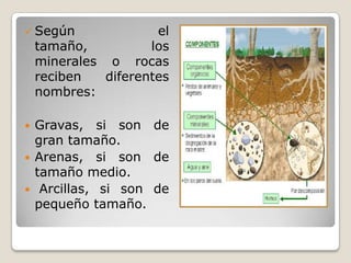  Según el
tamaño, los
minerales o rocas
reciben diferentes
nombres:
 Gravas, si son de
gran tamaño.
 Arenas, si son de
tamaño medio.
 Arcillas, si son de
pequeño tamaño.
 