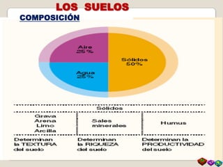 LOS SUELOS
COMPOSICIÓN
 