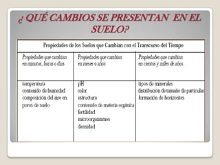 ¿ QUÉ CAMBIOS SE PRESENTAN EN EL
SUELO?
 