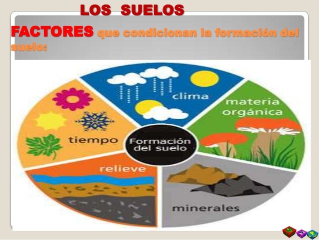 Resultado de imagen para composición del suelo