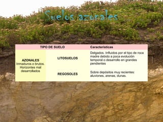 Suelos azonales
               TIPO DE SUELO         Características
                                     Delgados. Influidos por el tipo de roca
                                     madre debido a poca evolución
                        LITOSUELOS
    AZONALES                         temporal o desarrollo en grandes
Inmaduros o brutos.                  pendientes
  Horizontes mal
   desarrollados                     Sobre depósitos muy recientes:
                        REGOSOLES
                                     aluviones, arenas, dunas.
 