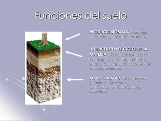 Funciones del suelo
           PRODUCIR BIOMASA. Para que
           se desarrollen plantas, animales…


           INTERVIENE EN EL CICLO DE LA
           MATERIA. Sirve de alimento para
           los animales descomponedores
           (mat. orgánica). Estos la convierten
           en sales minerales.

           ALMACENA AGUA. Al ser poroso
           permite la filtración y
           almacenamiento del agua en
           acuíferos.
 