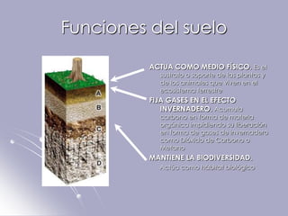 Funciones del suelo

          ACTUA COMO MEDIO FÍSICO. Es el
            sustrato o soporte de las plantas y
            de los animales que viven en el
            ecosistema terrestre
          FIJA GASES EN EL EFECTO
             INVERNADERO. Acumula
            carbono en forma de materia
            orgánica impidiendo su liberación
            en forma de gases de invernadero
            como Dióxido de Carbono o
            Metano
          MANTIENE LA BIODIVERSIDAD.
            Actúa como hábitat biológico
 