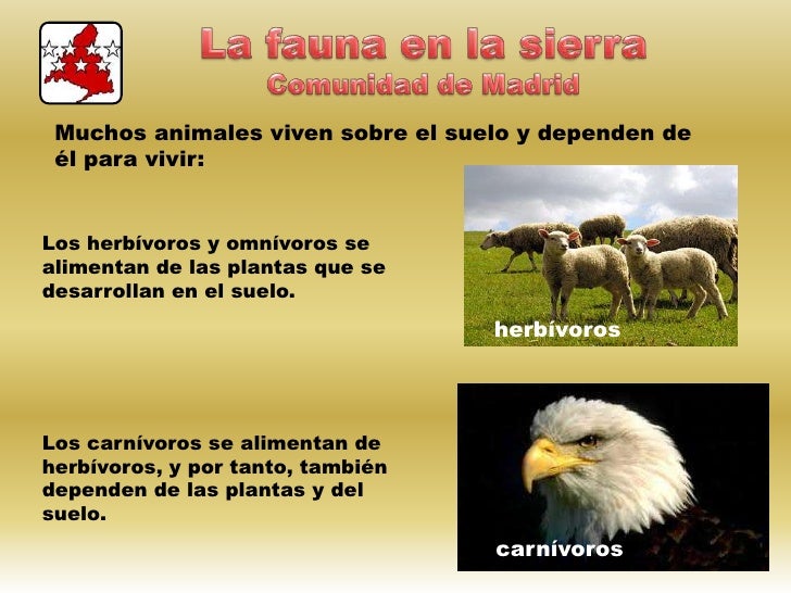 El suelo, la vegetación y la fauna El suelo, la vegetación y la fauna