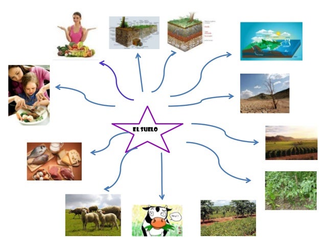 El suelo mapa mental