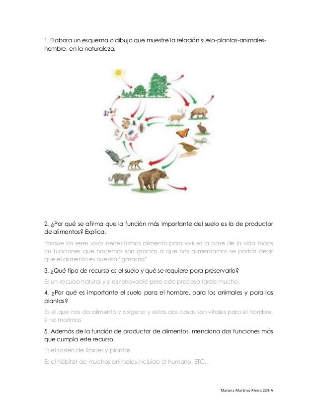 El suelo [mapa & preguntas]