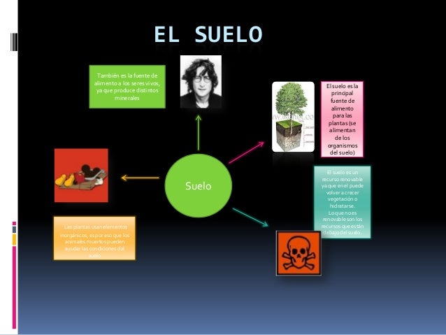 Mapa mental sobre el suelo