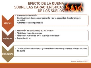 EFECTO DE LA QUEMA
SOBRE LAS CARACTERÍSTICAS
DE LOS SUELOS
FÍSICAS
• Aumento de la erosión
• Disminución de la densidad aparente y de la capacidad de retención de
humedad
• Aumento de la compactación
QUÍMICAS
• Reducción de agregados y su estabilidad
• Pérdida de materia orgánica
• Pérdida de nutrientes en el suelo (a nivel local)
• Aumento del pH
BIOLÓGICAS
• Disminución en abundancia y diversidad de microorganismos e invertebrados
del suelo
fuente: Gómez (2007)
 