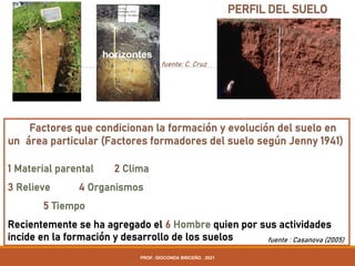 PERFIL DEL SUELO
fuente: C. Cruz
Factores que condicionan la formación y evolución del suelo en
un área particular (Factores formadores del suelo según Jenny 1941)
1 Material parental 2 Clima
3 Relieve 4 Organismos
5 Tiempo
Recientemente se ha agregado el 6 Hombre quien por sus actividades
incide en la formación y desarrollo de los suelos
horizontes
fuente : Casanova (2005)
PROF. GIOCONDA BRICEÑO . 2021
 