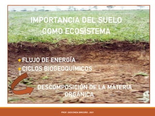 IMPORTANCIA DEL SUELO
COMO ECOSISTEMA
FLUJO DE ENERGÍA
CICLOS BIOGEOQUÍMICOS
DESCOMPOSICIÓN DE LA MATERIA
ORGÁNICA
PROF. GIOCONDA BRICEÑO . 2021
 