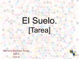 El Suelo.
[Tarea]
Mariana Martínez Rivera
238-A
CCH-N

 