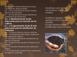 Técnicas agrícolas
agresivas dejan al suelo
desprotegido de
vegetación
Deforestación en
Chaco
Plaguicidas y
fertilizantes
...