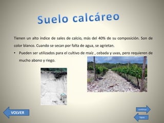Tienen un alto índice de sales de calcio, más del 40% de su composición. Son de
color blanco. Cuando se secan por falta de agua, se agrietan.
• Pueden ser utilizados para el cultivo de maíz , cebada y uvas, pero requieren de
mucho abono y riego.
VOLVER
continua
tipos
 