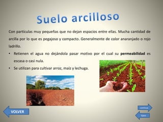 Con partículas muy pequeñas que no dejan espacios entre ellas. Mucha cantidad de
arcilla por lo que es pegajoso y compacto. Generalmente de color anaranjado o rojo
ladrillo.
• Retienen el agua no dejándola pasar motivo por el cual su permeabilidad es
escasa o casi nula.
• Se utilizan para cultivar arroz, maíz y lechuga.
VOLVER
continua
tipos
 