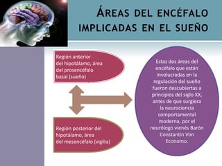 ÁREAS DEL ENCÉFALO
IMPLICADAS EN EL SUEÑO
Región anterior
del hipotálamo, área
del prosencéfalo
basal (sueño)
Región posterior del
hipotálamo, área
del mesencéfalo (vigilia)
Estas dos áreas del
encéfalo que están
involucradas en la
regulación del sueño
fueron descubiertas a
principios del siglo XX,
antes de que surgiera
la neurociencia
comportamental
moderna, por el
neurólogo vienés Barón
Constantin Von
Economo.
 