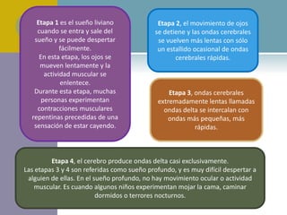 Etapa 1 es el sueño liviano
cuando se entra y sale del
sueño y se puede despertar
fácilmente.
En esta etapa, los ojos se
mueven lentamente y la
actividad muscular se
enlentece.
Durante esta etapa, muchas
personas experimentan
contracciones musculares
repentinas precedidas de una
sensación de estar cayendo.
Etapa 2, el movimiento de ojos
se detiene y las ondas cerebrales
se vuelven más lentas con sólo
un estallido ocasional de ondas
cerebrales rápidas.
Etapa 3, ondas cerebrales
extremadamente lentas llamadas
ondas delta se intercalan con
ondas más pequeñas, más
rápidas.
Etapa 4, el cerebro produce ondas delta casi exclusivamente.
Las etapas 3 y 4 son referidas como sueño profundo, y es muy difícil despertar a
alguien de ellas. En el sueño profundo, no hay movimiento ocular o actividad
muscular. Es cuando algunos niños experimentan mojar la cama, caminar
dormidos o terrores nocturnos.
 