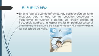 EL SUEÑO REM
 En esta fase es cuando soñamos. Hay desaparición del tono
muscular, pero el resto de las funciones corporales y
vegetativas se vuelven a activar. La tensión arterial, la
frecuencia cardiaca, la respiratoria, la temperatura corporal
y cerebral y el consumo de oxígeno tienen niveles similares a
los del estado de vigilia.
 