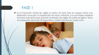 FASE 1
 Es la transición inicial de vigilia a sueño. En esta fase el cuerpo inicia una
distensión muscular, la respiración se hace uniforme y la actividad cerebral
se hace más lenta que durante el estado de vigilia. El sueño es ligero. Tiene
una duración de entre 30 segundos y varios minutos en cada ciclo.
 