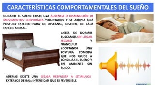 CARACTERÍSTICAS COMPORTAMENTALES DEL SUEÑO
DURANTE EL SUENO EXISTE UNA AUSENCIA O DISMINUCIÓN DE
MOVIMIENTOS CORPORALES VOLUNTARIOS Y SE ADOPTA UNA
POSTURA ESTEREOTIPADA DE DESCANSO, DISTINTA EN CADA
ESPECIE ANIMAL.
ADEMAS EXISTE UNA ESCASA RESPUESTA A ESTIMULOS
EXTERNOS DE BAJA INTENSIDAD QUE ES REVERSIBLE.
ANTES DE DORMIR
BUSCAMOS UN LUGAR
SEGURO Y
TRANQUILO,
ADOPTANDO UNA
POSTURA CÓMODA
QUE NOS AYUDE A
CONCILIAR EL SUENO Y
UN AMBIENTE SIN
RUIDO.
 