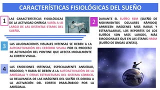 CARACTERÍSTICAS FISIOLÓGICAS DEL SUEÑO
LAS EMOCIONES INTENSAS, ESPECIALMENTE ANSIEDAD,
REGOCIJO, Y RABIA SE DEBEN A LA AUTOACTIVACIÓN DE LA
AMÍGDALA Y OTRAS ESTRUCTURAS DEL SISTEMA LÍMBICO.
LA RELAVANCIA DE LAS IMÁGENES DEL SUEÑO ES DEBIDA A
LA ACTIVACIÓN DEL CORTEX PARALÍMBICO POR LA
AMÍGDALA.
LAS CARACTERÍSTICAS FISIOLÓGICAS
DE LA ACTIVIDAD ONÍRICA VARÍA A LO
LARGO DE LAS DISTINTAS ETAPAS DEL
SUEÑO.
1 DURANTE EL SUEÑO REM (SUEÑO DE
MOVIMIENTOS OCULARES RÁPIDOS)
APARECEN IMÁGENES MÁS RARAS Y
ESTRAFALARIAS, LOS REPORTES DE LOS
SUEÑOS SON MÁS LARGOS, MÁS
EMOCIONALES QUE EN LAS ETAPAS NREM
(SUEÑO DE ONDAS LENTAS).
2
3 LAS ALUCINACIONES VISUALES INTENSAS SE DEBEN A LA
AUTOACTIVACIÓN DEL CEREBRO VISUAL POR EL PROCESO
DE ACTIVACIÓN DEL PONTINE QUE AFECTA INICIALMENTE
AL CORTEX VISUAL.
4
 
