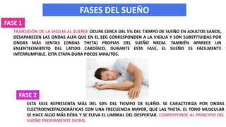TRANSICIÓN DE LA VIGILIA AL SUEÑO: OCUPA CERCA DEL 5% DEL TIEMPO DE SUEÑO EN ADULTOS SANOS,
DESAPARECEN LAS ONDAS ALFA QUE EN EL EEG CORRESPONDEN A LA VIGILIA Y SON SUBSTITUIDAS POR
ONDAS MÁS LENTAS (ONDAS THETA) PROPIAS DEL SUEÑO NREM. TAMBIÉN APARECE UN
ENLENTECIMIENTO DEL LATIDO CARDÍACO. DURANTE ESTA FASE, EL SUEÑO ES FÁCILMENTE
INTERRUMPIBLE. ESTA ETAPA DURA POCOS MINUTOS.
FASES DEL SUEÑO
FASE 1
ESTA FASE REPRESENTA MÁS DEL 50% DEL TIEMPO DE SUEÑO. SE CARACTERIZA POR ONDAS
ELECTROENCEFALOGRÁFICAS CON UNA FRECUENCIA MAYOR, QUE LAS THETA. EL TONO MUSCULAR
SE HACE ALGO MÁS DÉBIL Y SE ELEVA EL UMBRAL DEL DESPERTAR. CORRESPONDE AL PRINCIPIO DEL
SUEÑO PROPIAMENTE DICHO.
FASE 2
 