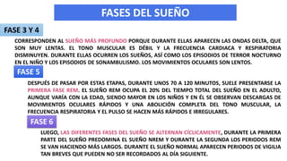 DESPUÉS DE PASAR POR ESTAS ETAPAS, DURANTE UNOS 70 A 120 MINUTOS, SUELE PRESENTARSE LA
PRIMERA FASE REM. EL SUEÑO REM OCUPA EL 20% DEL TIEMPO TOTAL DEL SUEÑO EN EL ADULTO,
AUNQUE VARÍA CON LA EDAD, SIENDO MAYOR EN LOS NIÑOS Y EN ÉL SE OBSERVAN DESCARGAS DE
MOVIMIENTOS OCULARES RÁPIDOS Y UNA ABOLICIÓN COMPLETA DEL TONO MUSCULAR, LA
FRECUENCIA RESPIRATORIA Y EL PULSO SE HACEN MÁS RÁPIDOS E IRREGULARES.
FASES DEL SUEÑO
CORRESPONDEN AL SUEÑO MÁS PROFUNDO PORQUE DURANTE ELLAS APARECEN LAS ONDAS DELTA, QUE
SON MUY LENTAS. EL TONO MUSCULAR ES DÉBIL Y LA FRECUENCIA CARDIACA Y RESPIRATORIA
DISMINUYEN. DURANTE ELLAS OCURREN LOS SUEÑOS, ASÍ COMO LOS EPISODIOS DE TERROR NOCTURNO
EN EL NIÑO Y LOS EPISODIOS DE SONAMBULISMO. LOS MOVIMIENTOS OCULARES SON LENTOS.
FASE 3 Y 4
FASE 5
LUEGO, LAS DIFERENTES FASES DEL SUEÑO SE ALTERNAN CÍCLICAMENTE, DURANTE LA PRIMERA
PARTE DEL SUEÑO PREDOMINA EL SUEÑO NREM Y DURANTE LA SEGUNDA LOS PERIODOS REM
SE VAN HACIENDO MÁS LARGOS. DURANTE EL SUEÑO NORMAL APARECEN PERIODOS DE VIGILIA
TAN BREVES QUE PUEDEN NO SER RECORDADOS AL DÍA SIGUIENTE.
FASE 6
 