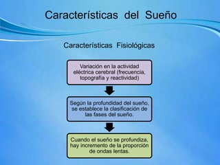 Características Fisiológicas
Características del Sueño
Variación en la actividad
eléctrica cerebral (frecuencia,
topografía y reactividad)
Según la profundidad del sueño,
se establece la clasificación de
las fases del sueño.
Cuando el sueño se profundiza,
hay incremento de la proporción
de ondas lentas.
 