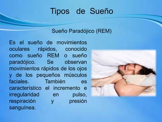 Tipos de Sueño
Sueño Paradójico (REM)
Es el sueño de movimientos
oculares rápidos, conocido
como sueño REM o sueño
paradójico. Se observan
movimientos rápidos de los ojos
y de los pequeños músculos
faciales. También es
característico el incremento e
irregularidad en pulso,
respiración y presión
sanguínea.
 