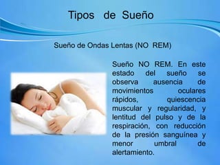 Tipos de Sueño
Sueño de Ondas Lentas (NO REM)
Sueño NO REM. En este
estado del sueño se
observa ausencia de
movimientos oculares
rápidos, quiescencia
muscular y regularidad, y
lentitud del pulso y de la
respiración, con reducción
de la presión sanguínea y
menor umbral de
alertamiento.
 