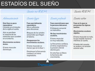 POLISOMNOGRAFÍA
(prueba de múltiples parámetros usada en el estudio del sueño)
Los ciclos normales de sueño implica que en unos momentos
se activan unos sistemas y se desconectan otros
ESTADÍOS DEL SUEÑO
 