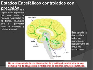 Sueño No-MOR vs. MOR
Parámetro Sueño No-MOR Sueño MOR
Electrooculografia
No hay movimientos oculares
rápidos.
Hay movimientos
oculares rápidos.
Electro miografía Relajación parcial. Atonía de músculos.
Presión arterial Disminuida Variable
Frecuencia cardiaca Disminuida Variable
Gasto cardiaco Disminuida Disminuida
Metabolismo cerebral de
la glucosa
Disminuido Aumentado
Temperatura corporal Disminuida
Se pierde la
termorregulación
Frecuencia respiratoria Disminuida Variable
Actividad mental Vivencias no organizadas
Vivencias organizadas
(Ensoñaciones)
 