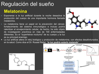 La Interpretación de los sueños
 