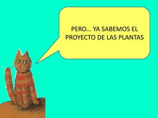 PERO… YA SABEMOS EL PROYECTO DE LAS PLANTAS