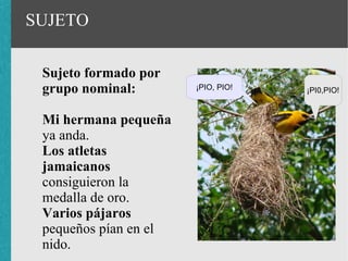 SUJETO

 Sujeto formado por
 grupo nominal:        ¡PIO, PIO!   ¡PI0,PIO!


 Mi hermana pequeña
 ya anda.
 Los atletas
 jamaicanos
 consiguieron la
 medalla de oro.
 Varios pájaros
 pequeños pían en el
 nido.
 