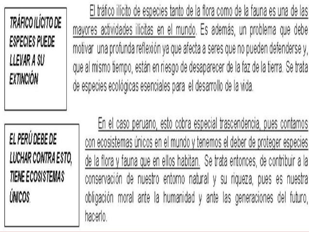 Resultado de imagen para sumillado