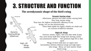 Dynamic Soaring Birds Earth and Life Science_unifyingthemesoflife-.pptx